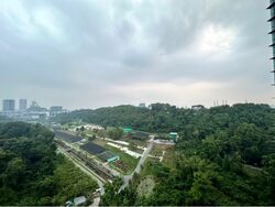 Normanton Park (D5), Apartment #598730471